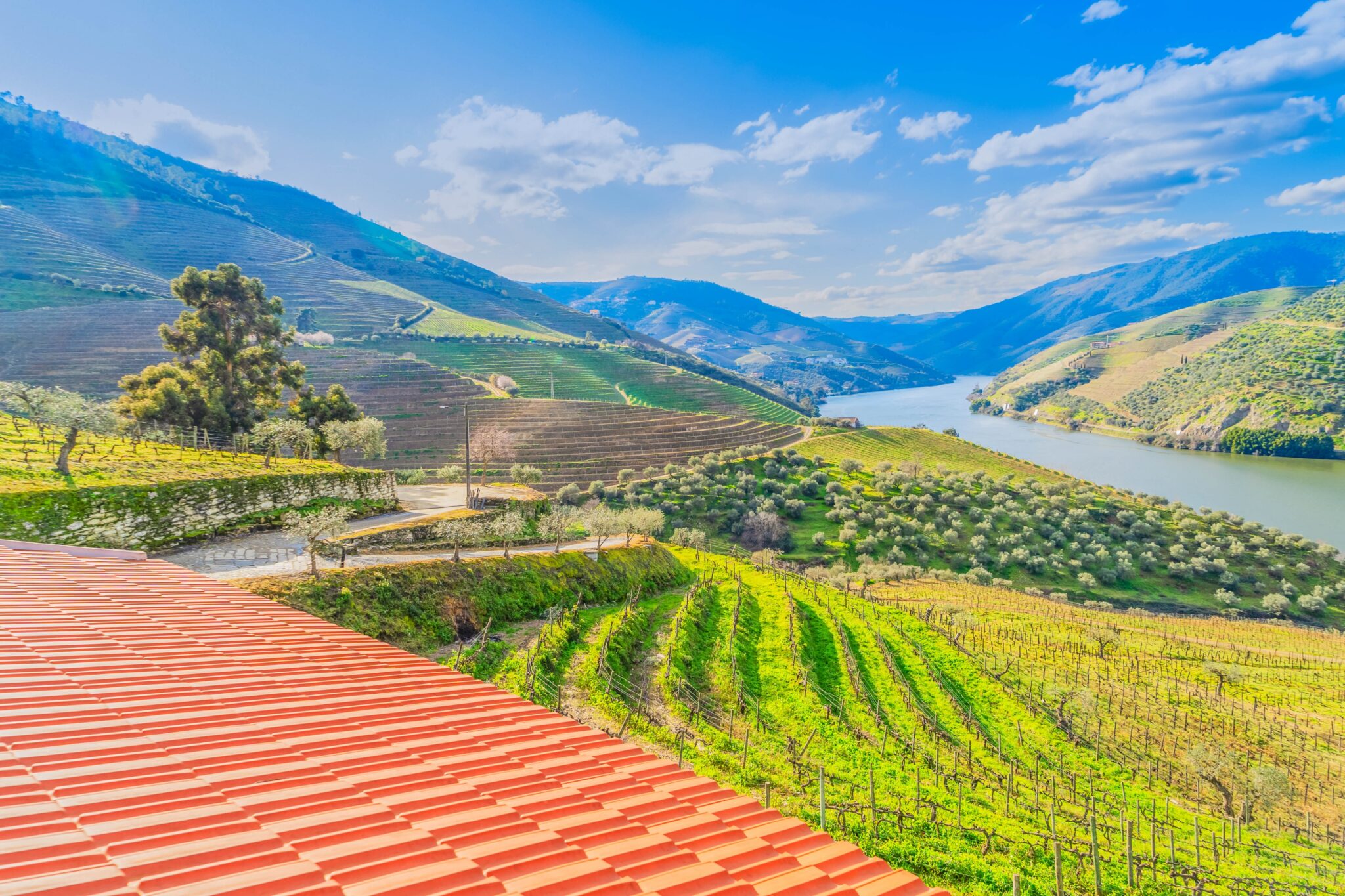Douro River Cruises