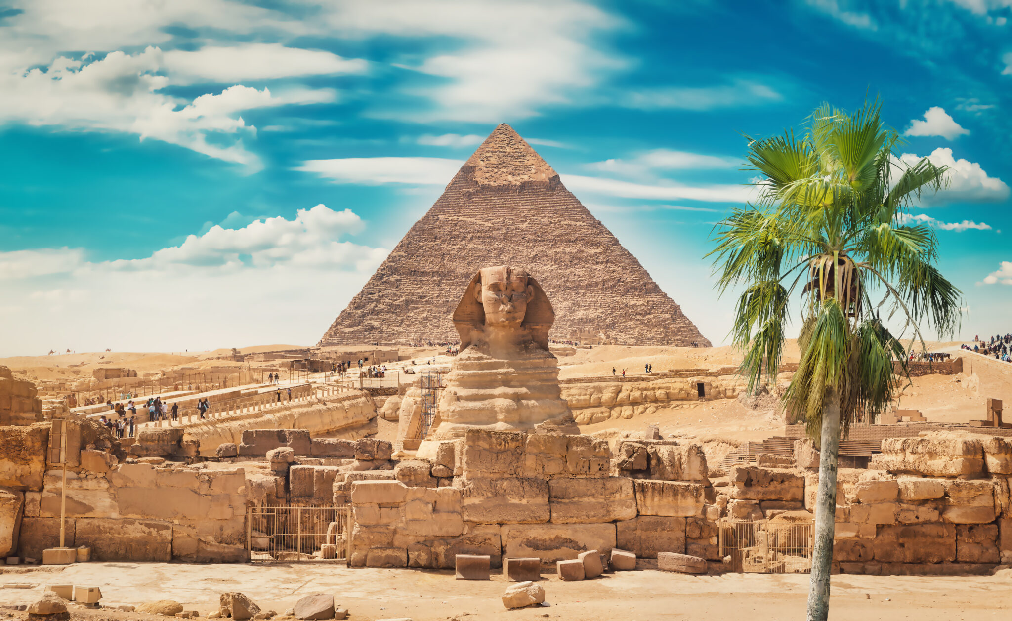Nile River Cruises